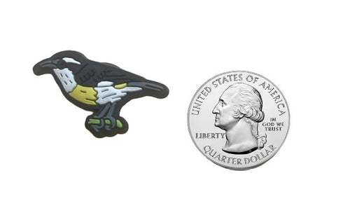 Bananaquit Shoe Charm Shoe Charm US Virgin Islands