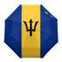 Barbados Umbrella - CaribeHeart Barbados