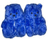 Blue Teddy Slippers - CaribeHeart Teddy