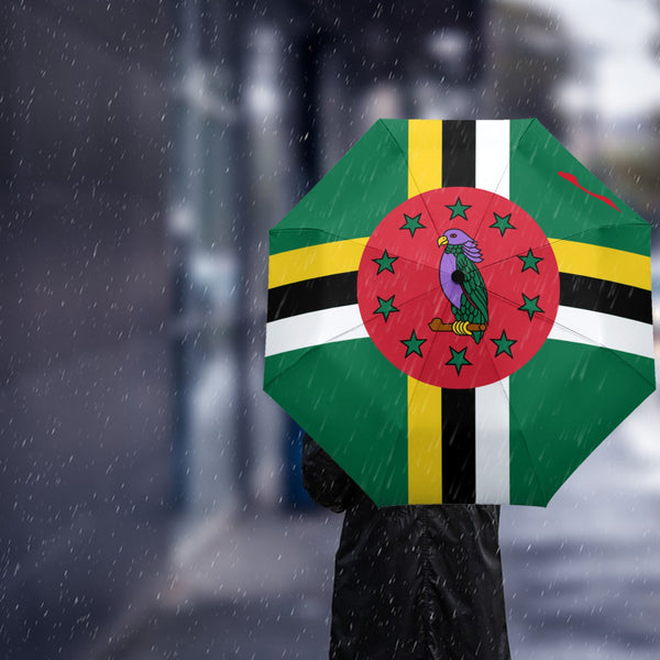 Dominica Umbrella - CaribeHeart Dominica