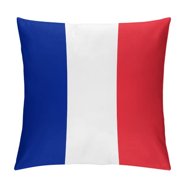 France Flag Throw Pillow - CaribeHeart France