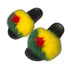 French Guiana Fluffy Slipper - CaribeHeart French Guiana
