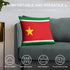 Guadeloupe Flag Throw Pillow - CaribeHeart Guadeloupe