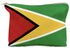 Guyana Make-Up Cosmetic Pouch - CaribeHeart Guyana
