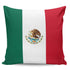 Mexico Flag Throw Pillow Throw Pillows Mexico One Size Standard