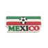 Mexico Soccer Shoe Charms - CaribeHeart Mexico