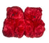 Red Teddy Slippers - CaribeHeart Teddy